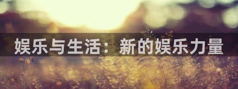 先锋娱乐公司