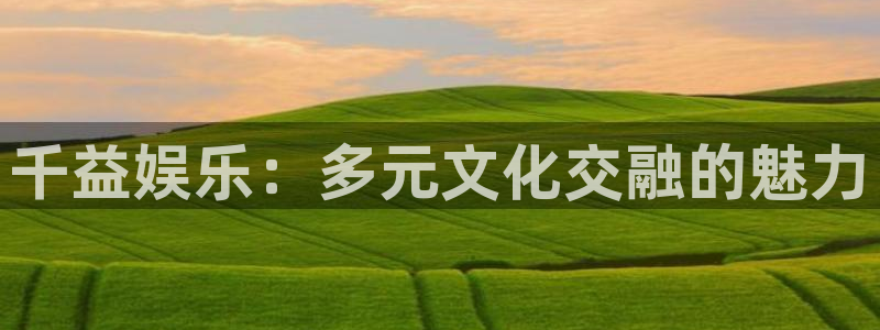 先锋娱乐公司