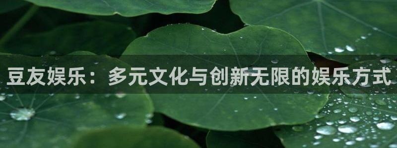先锋娱乐公司