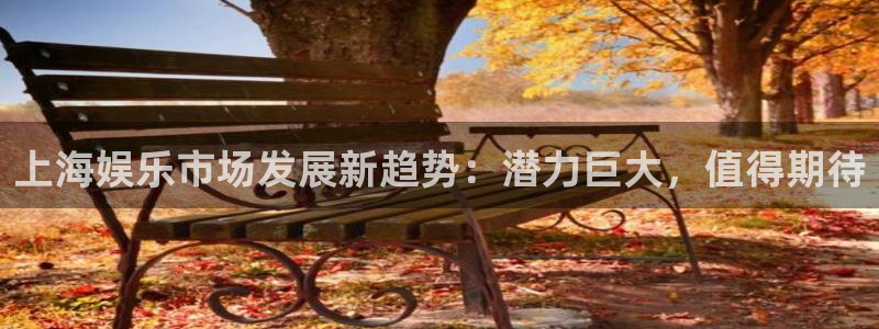 先锋娱乐公司